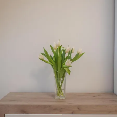 Reneszansz Vendeghaz Hotel apartamentowy *
