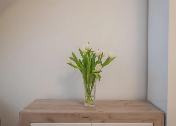 Reneszánsz Apartmanhotel 3*
